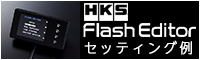HKS Flash Editor 装着例,TRIAL,大阪