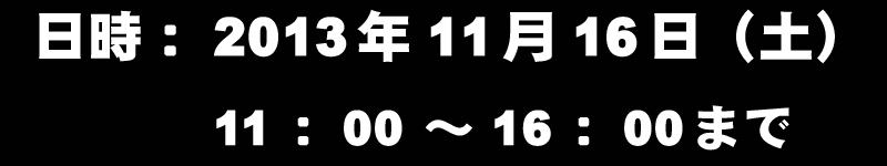 OPTION2@p[`FbNIingCA@2013N1116iyj@11F00`16F00܂