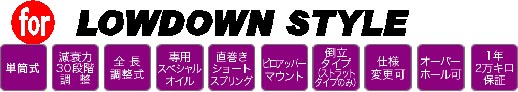 LOWDOWN@STYLE