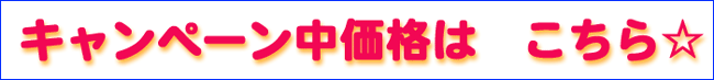 RECAROキャンペーン中価格はこちらをクリックしてください☆