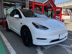 TESLA@fY@ZAA-YL3YTi2023Nj@Ɂ@RECAROiJj@X|[cX^[LL210H@BK@