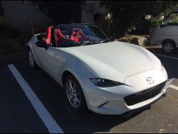 RECAROiJV[gj@MAZDA@[hX^[@NDɃJ@RS-GS RED@~2r@