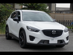 RECAROiJV[gj@MAZDA@CX-5ɃJ@X|[cX^[LL100H U[SE@BKU[@REDXeb`iRED/BLCjK@