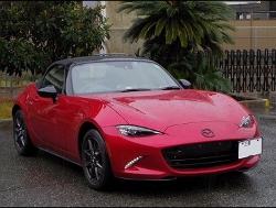 RECAROiJV[gj@MAZDA@[hX^[@ND5RCɃJ@RS-G@GKV[gq[^[t@BK/RED@@SR-6 GK100SV[gq[^[t@BK/RED@