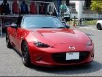 RECAROiJV[gj@MAZDA@ND[hX^[@ND5RCɃJ@SR-7@GK100@BK/RED@iV[gobNJo[@sAmubNj@