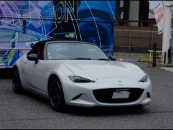 RECAROiJV[gj@MAZDA@[hX^[@NRA@ND5RCɃJ@New@SR-7@Lassic REDU[@