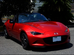 RECAROiJV[gj@MAZDA@[hX^[@ND@ɃJ@RS-G@GK@BK/RED@V[gobNo[Jo[@sAmubN@