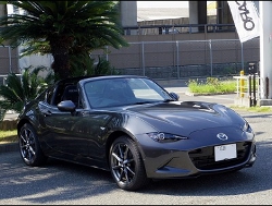RECAROiJV[gj@MAZDA@[hX^[RF@NDERC@ɃJ@SR-7@GK100@BK/RED@@SR-7F@GK100@BK/REDiV[gobNo[Jo[@sAmBK@@BOSEXs[J[j@