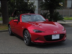 RECAROiJV[gj@MAZDA@[hX^[@RF@NDERC@Ɂ@J@RS-G@GK@V[gq[^[t@BK/REDiV[gobNo[Jo[@sAmBKBOSEXs[J[j@