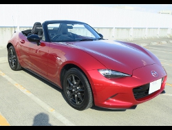 RECAROiJV[gj@MAZDA@[hX^[@ND5RCiO[hSj@Ɂ@J@SR-7F@Lassic@BK@V[gq[^[t@
