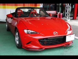 MAZDA@[hX^[@NRA@ND5RCi2017Nj@Ɂ@RECAROiJj@RS-GS@RED@