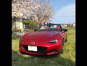 MAZDA@[hX^[@ND5RCi2015Nj@Ɂ@RECAROiJj@SR-7@GU100H@RED@@SR-7F@GU100@RED@