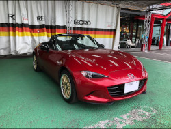 MAZDA@[hX^[@ND5RC@Ɂ@RECAROiJj@TS-G@GK@BK/RED@V[gq[^[t@