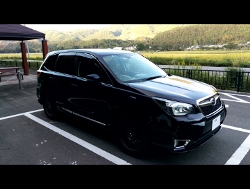 RECAROiJV[gj@SUBARU@tHX^[@SJɃJ@LX-F@IM110HV[gq[^[t@BK@