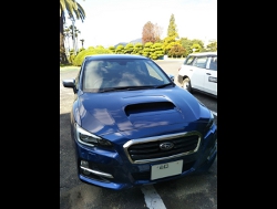 SUBARU@H[O@VM4@Ɂ@RECAROiJj@GShD@BK@